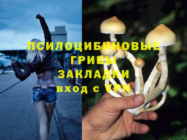 мяу мяу кристалл Бородино