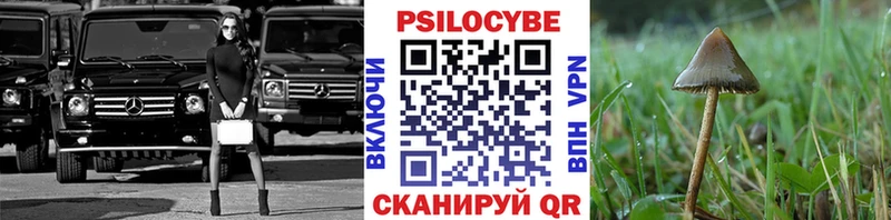 Галлюциногенные грибы Magic Shrooms  наркотики  Новоульяновск 